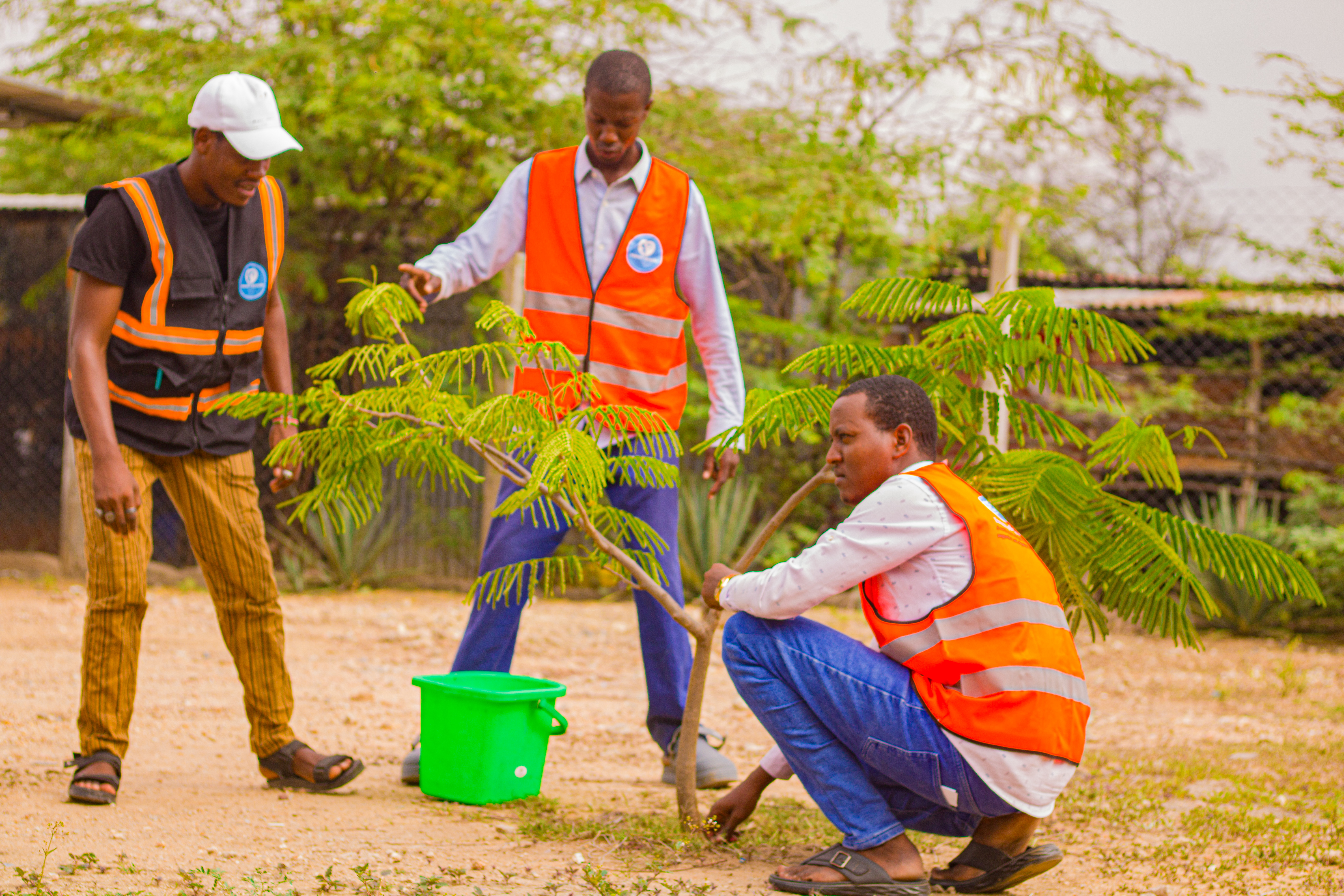 Empowering communities to build green, resilient futures through local action